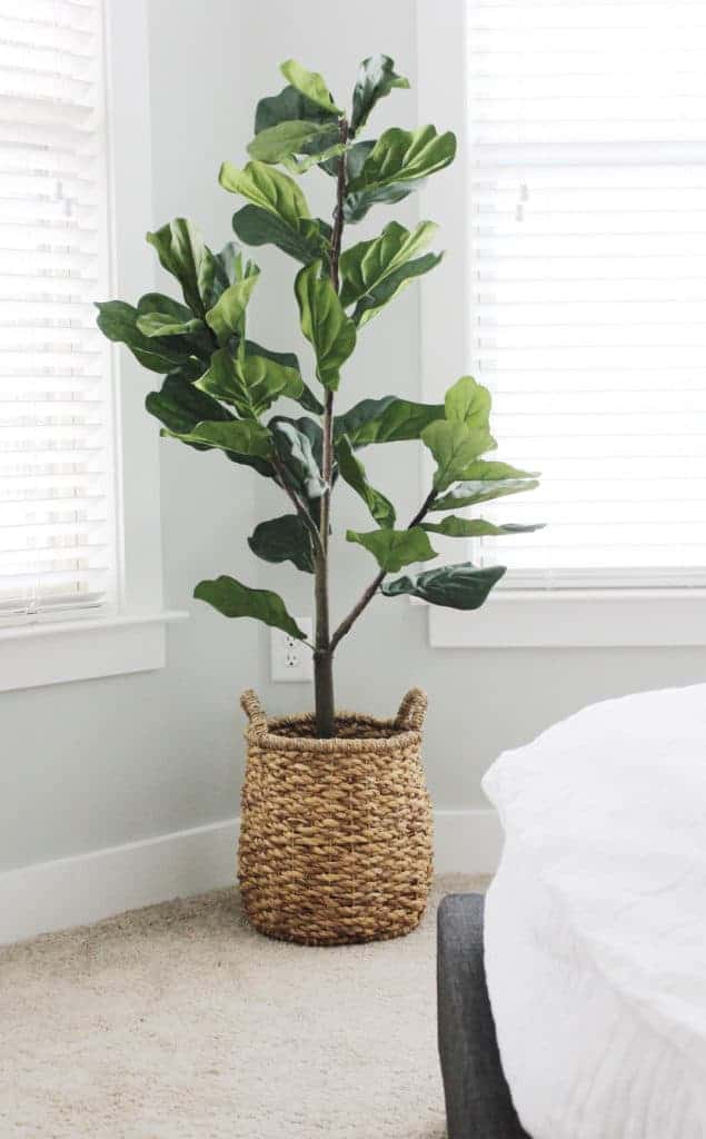 realistic faux fiddle leaf from QVC